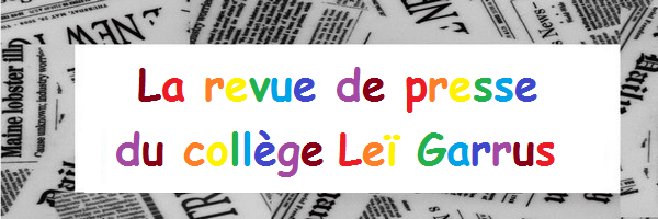 Réalisation de journaux